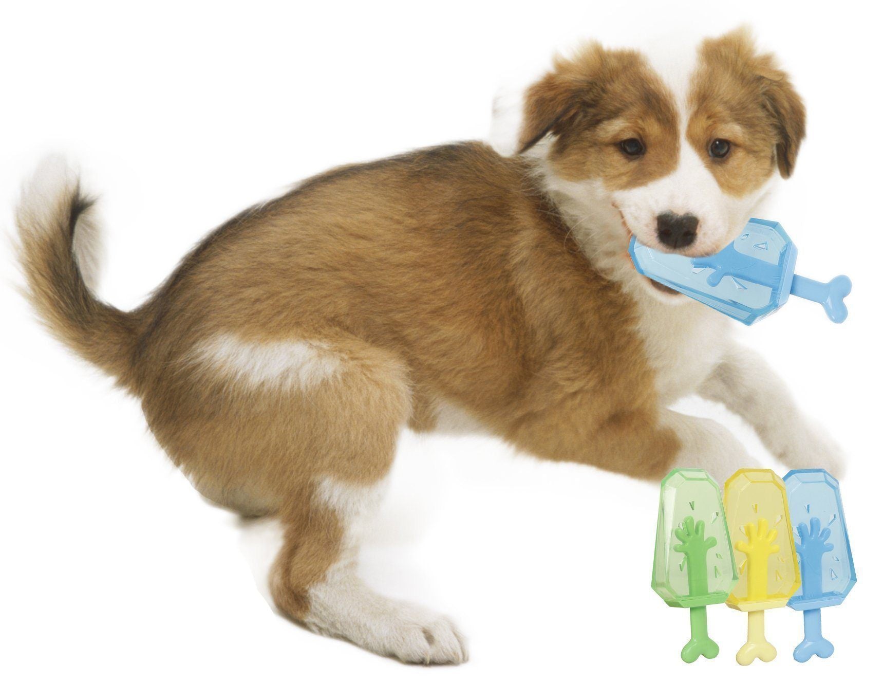 {{product_title}} - Cookies Wagging Friends Boutique