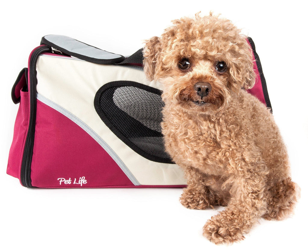 {{product_title}} - Cookies Wagging Friends Boutique