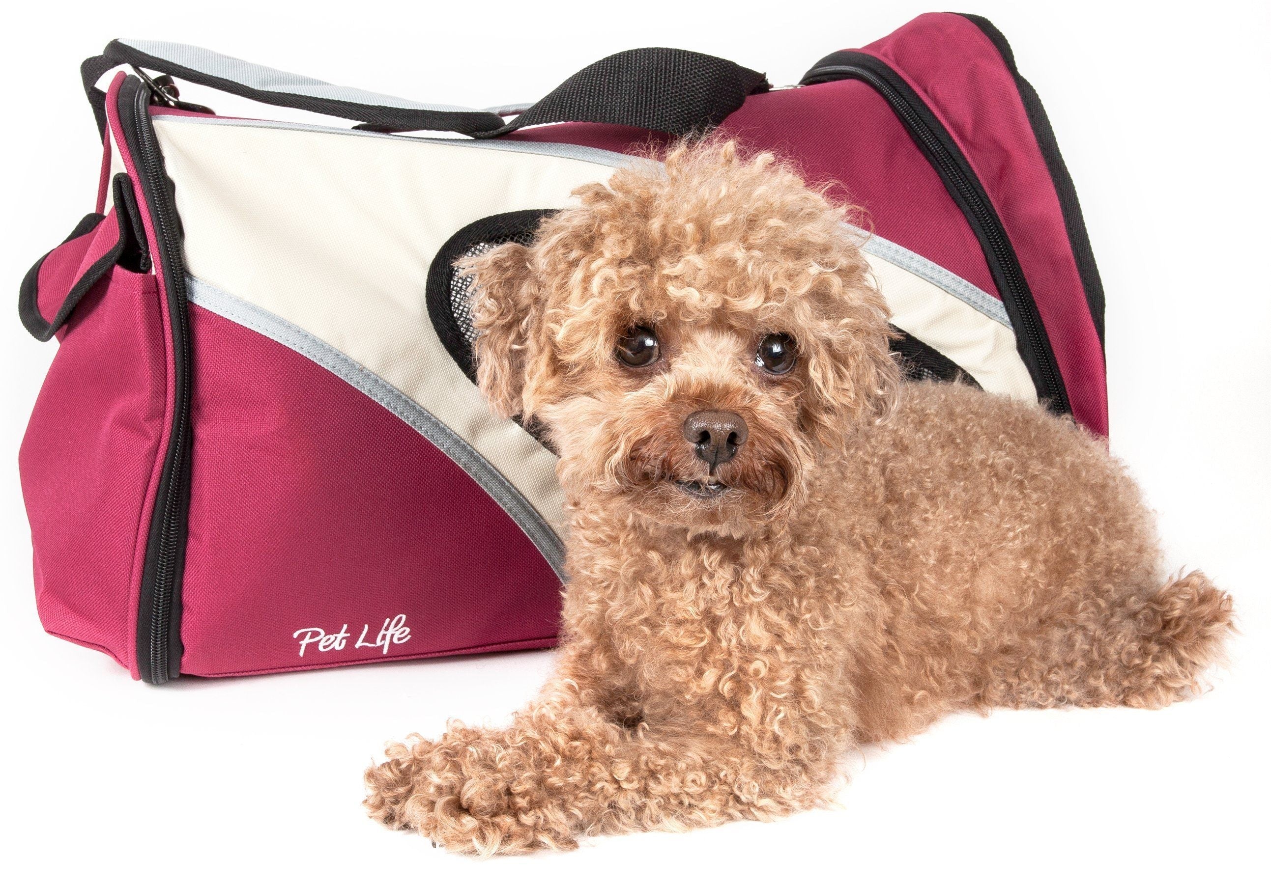 {{product_title}} - Cookies Wagging Friends Boutique