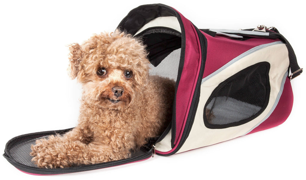 {{product_title}} - Cookies Wagging Friends Boutique
