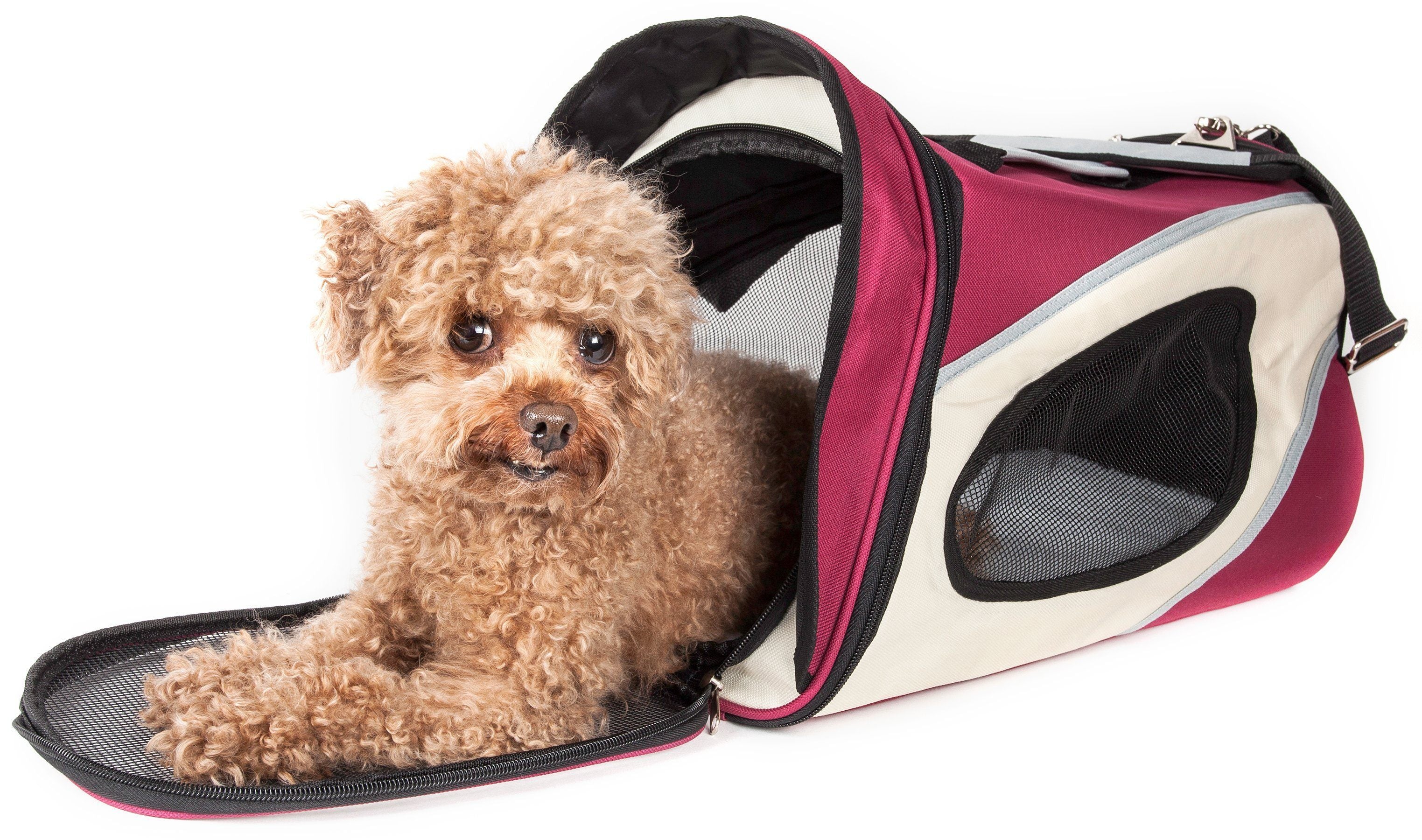 {{product_title}} - Cookies Wagging Friends Boutique