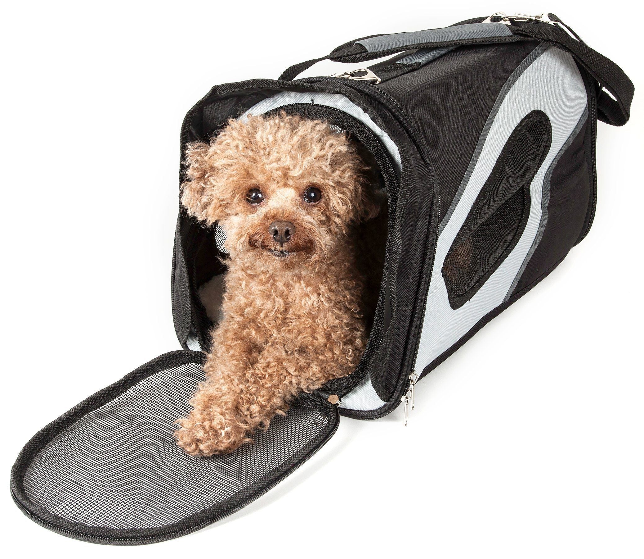 {{product_title}} - Cookies Wagging Friends Boutique