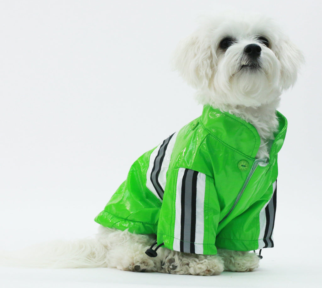 {{product_title}} - Cookies Wagging Friends Boutique