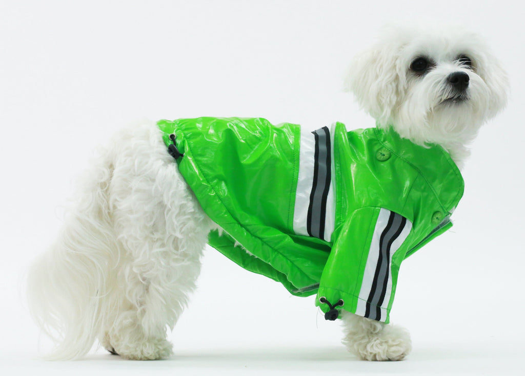 {{product_title}} - Cookies Wagging Friends Boutique