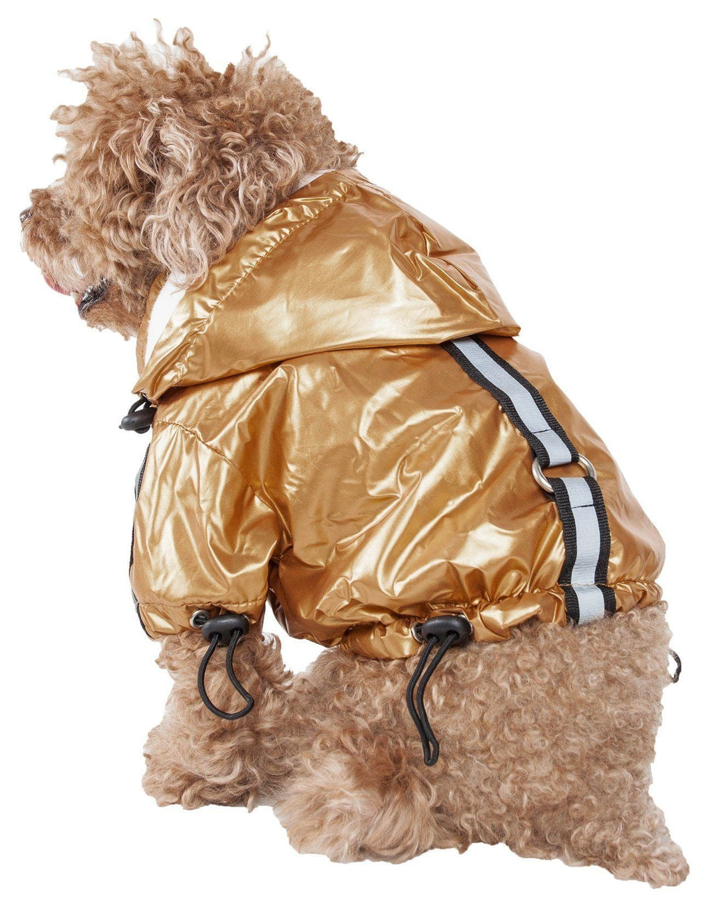 {{product_title}} - Cookies Wagging Friends Boutique
