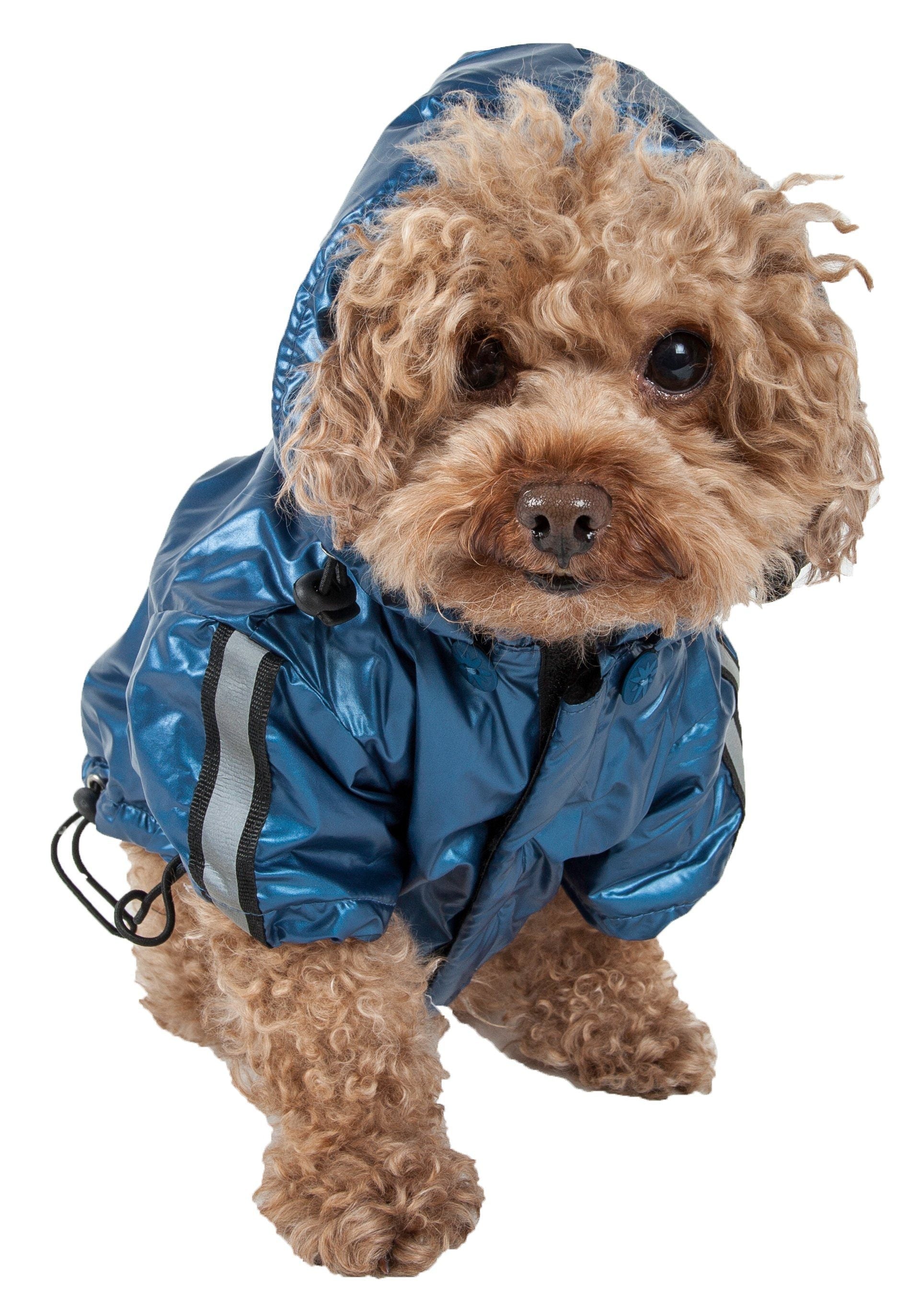 {{product_title}} - Cookies Wagging Friends Boutique