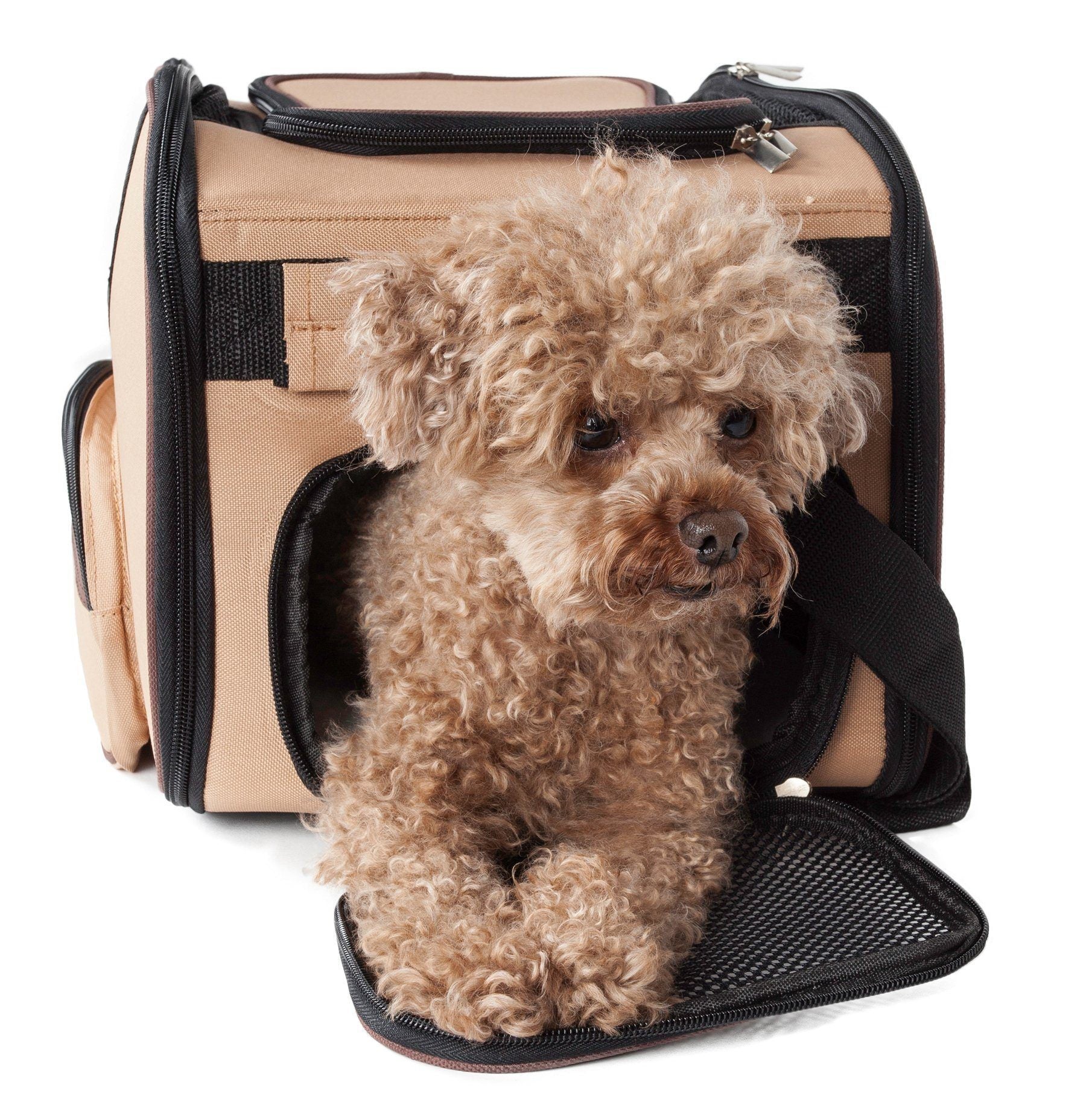 Pet Life ® 'Sky-Max' Airline Approved Designer Sporty Collapsible Travel Fashion Pet Dog Carrier