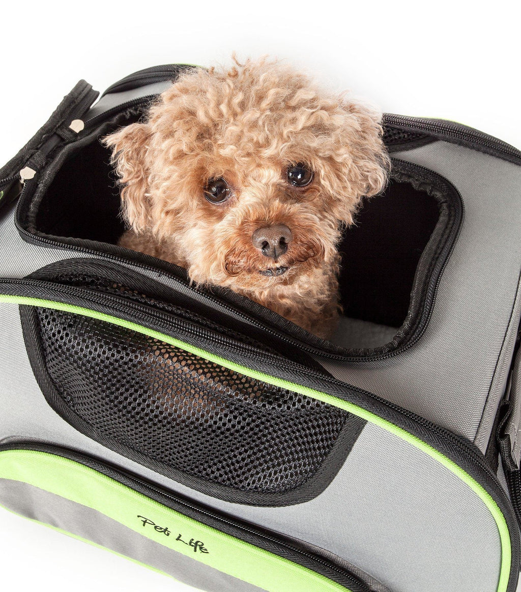 Pet Life ® 'Sky-Max' Airline Approved Designer Sporty Collapsible Travel Fashion Pet Dog Carrier