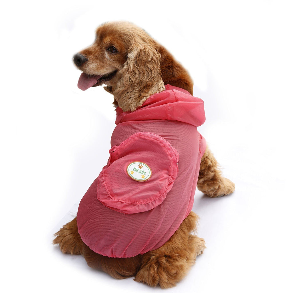 {{product_title}} - Cookies Wagging Friends Boutique