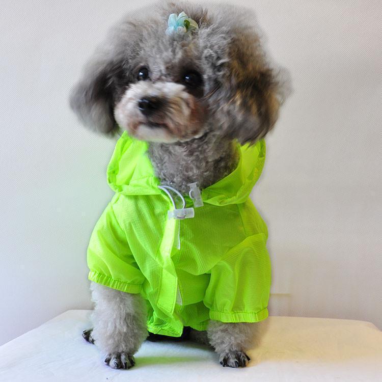 {{product_title}} - Cookies Wagging Friends Boutique