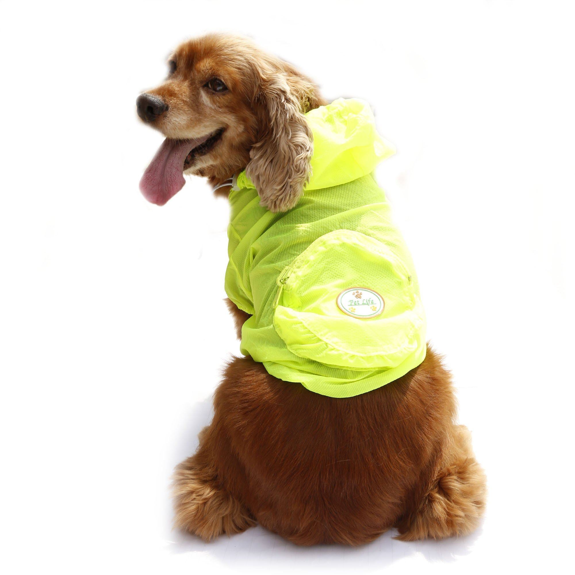 {{product_title}} - Cookies Wagging Friends Boutique