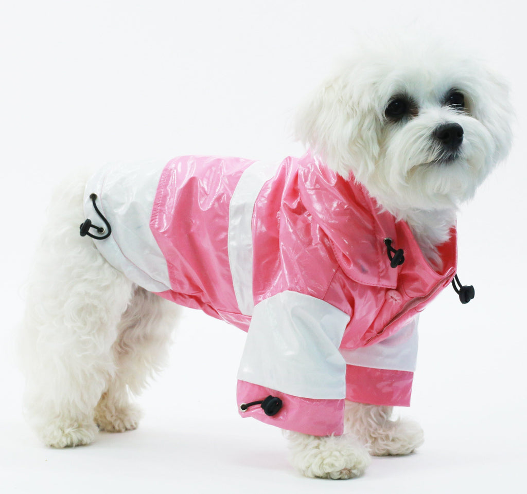 {{product_title}} - Cookies Wagging Friends Boutique