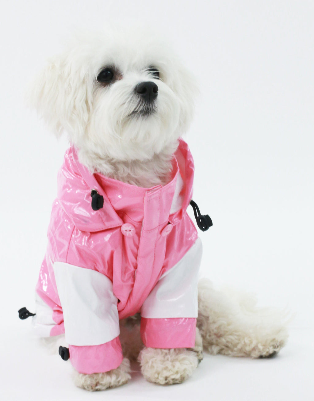 {{product_title}} - Cookies Wagging Friends Boutique