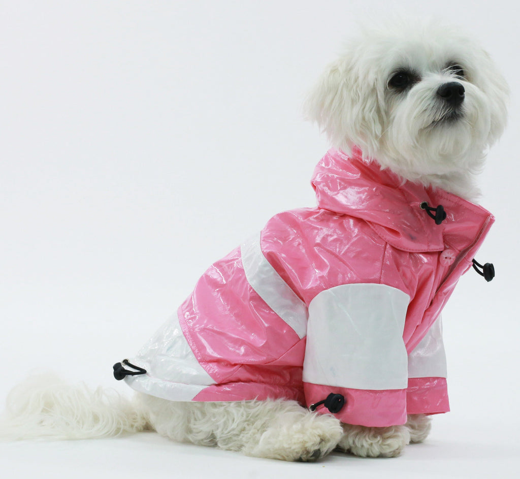 {{product_title}} - Cookies Wagging Friends Boutique