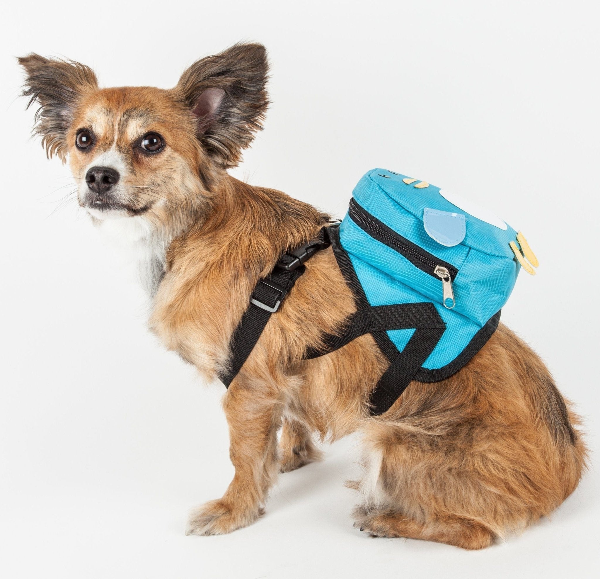 Blue dog harness backpack with black harness straps and side pocket