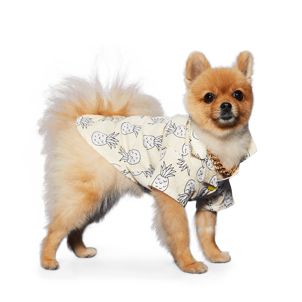 Pineapple print pet shirt in light yellow with line-drawn pineapples and leaves