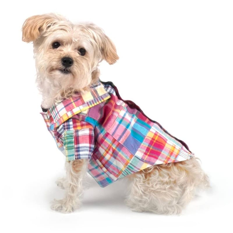 Multicolor plaid dog shirt with pointed collar and button front, worn on dog