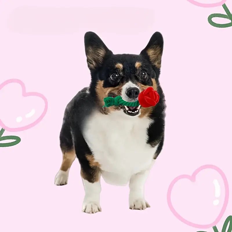 Dog tug toy: green rope with red rose plush