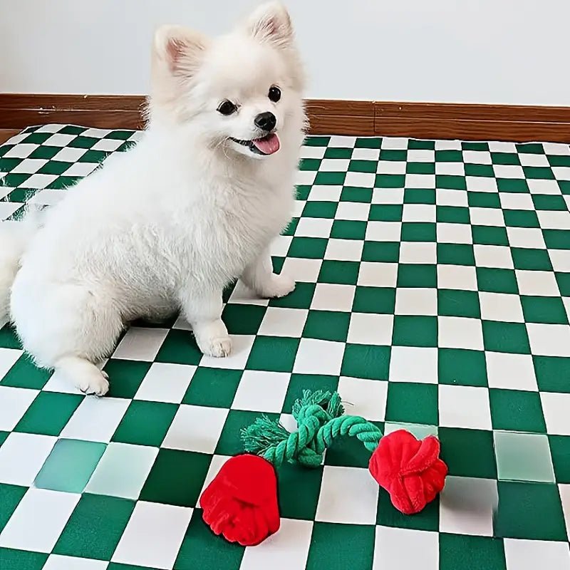 Plush dog tug toys: green rope with red rose plush pieces on floor
