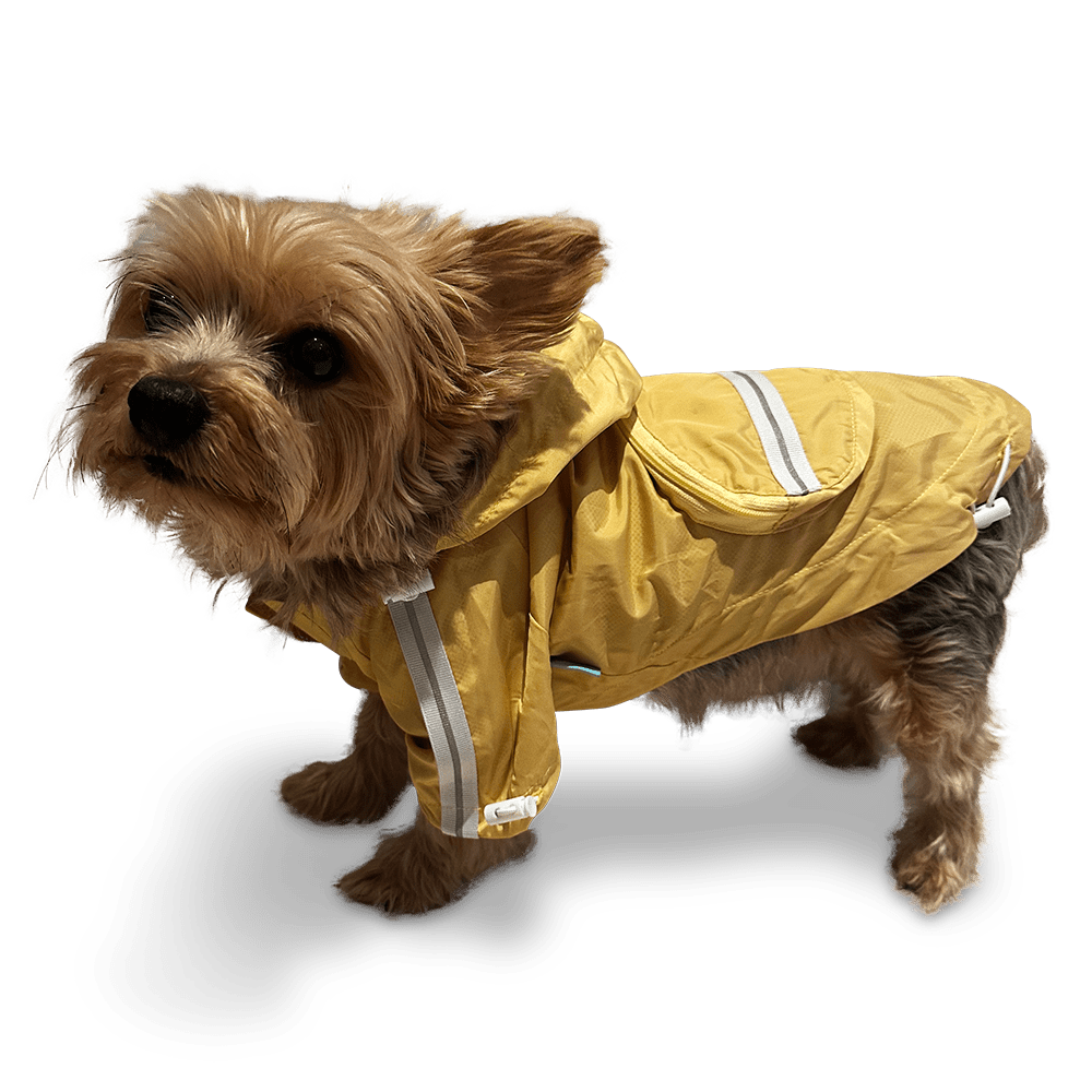 Yellow hooded dog raincoat with reflective stripe and front opening