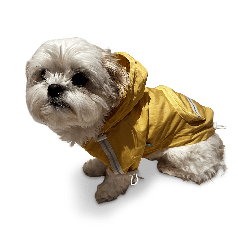 Yellow hooded dog raincoat with front pocket panel and small shoulder fasteners
