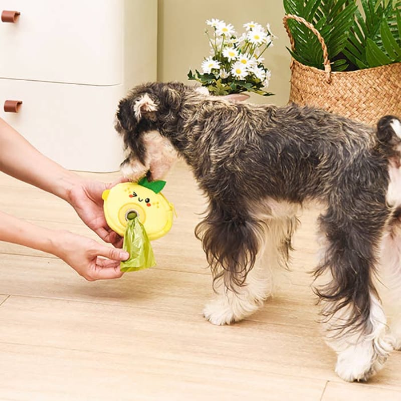Lemon plush pet waste bag dispenser held near a small dog