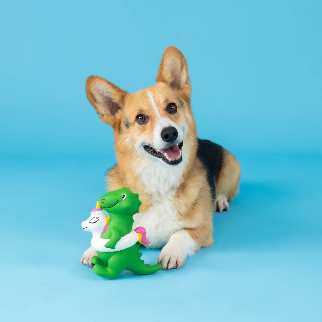 Green dinosaur latex dog toy with white unicorn floaty, with dog in view