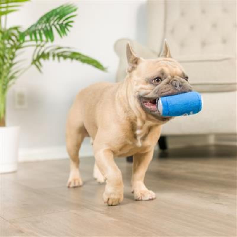 Plush pet chew canister with blue Poopsie design, dog carrying it in mouth.