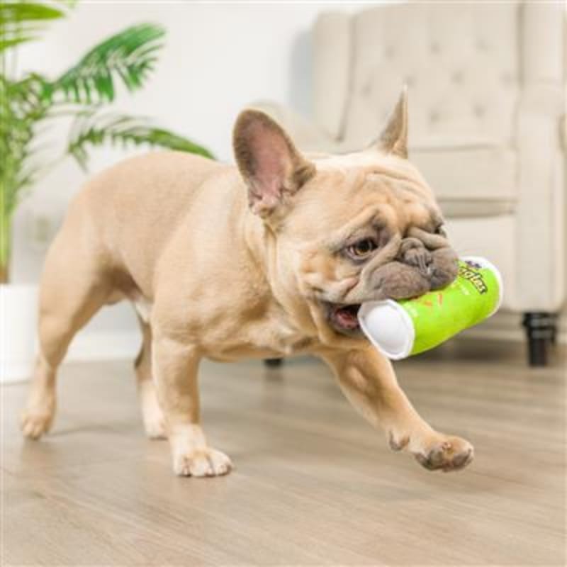 Plush pet chew canister with green Puggles design, in a dog’s mouth.