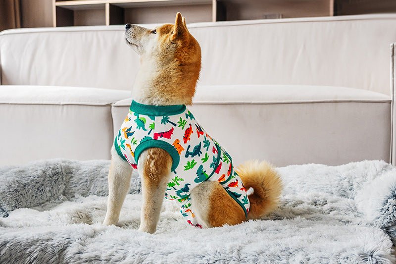 Dog wearing dinosaur print post-surgery recovery suit with green collar and belly flap