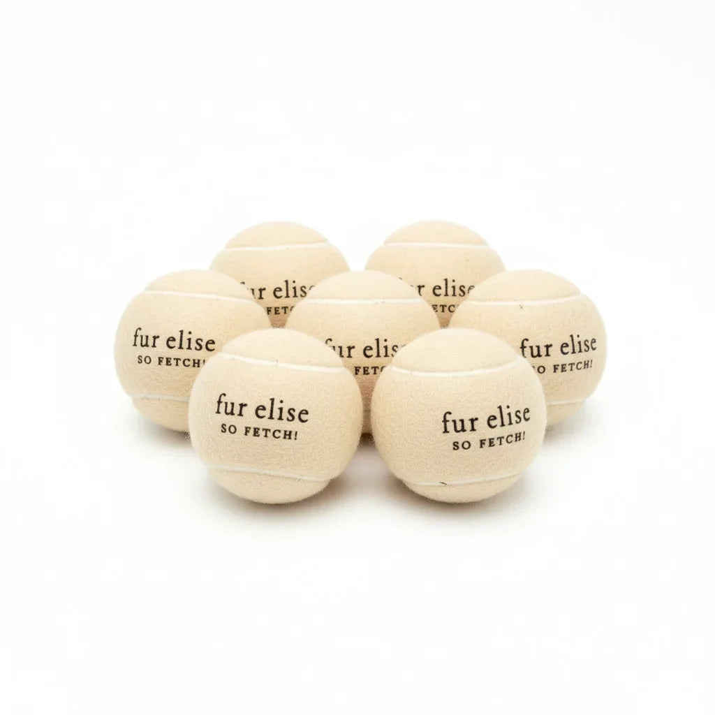 Set of seven beige tennis balls with 'fur elise, so fetch!' print