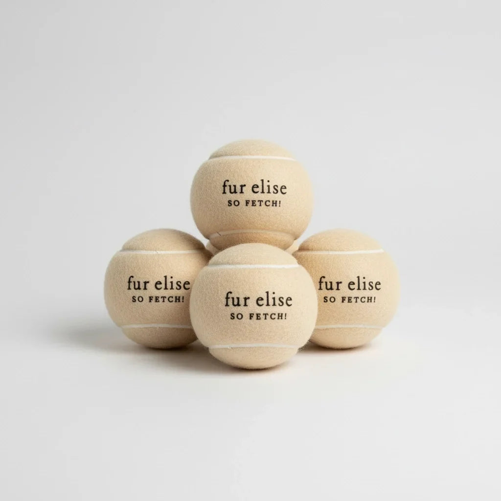 Latte beige tennis ball set of 5, clustered with 'fur elise so fetch!' text