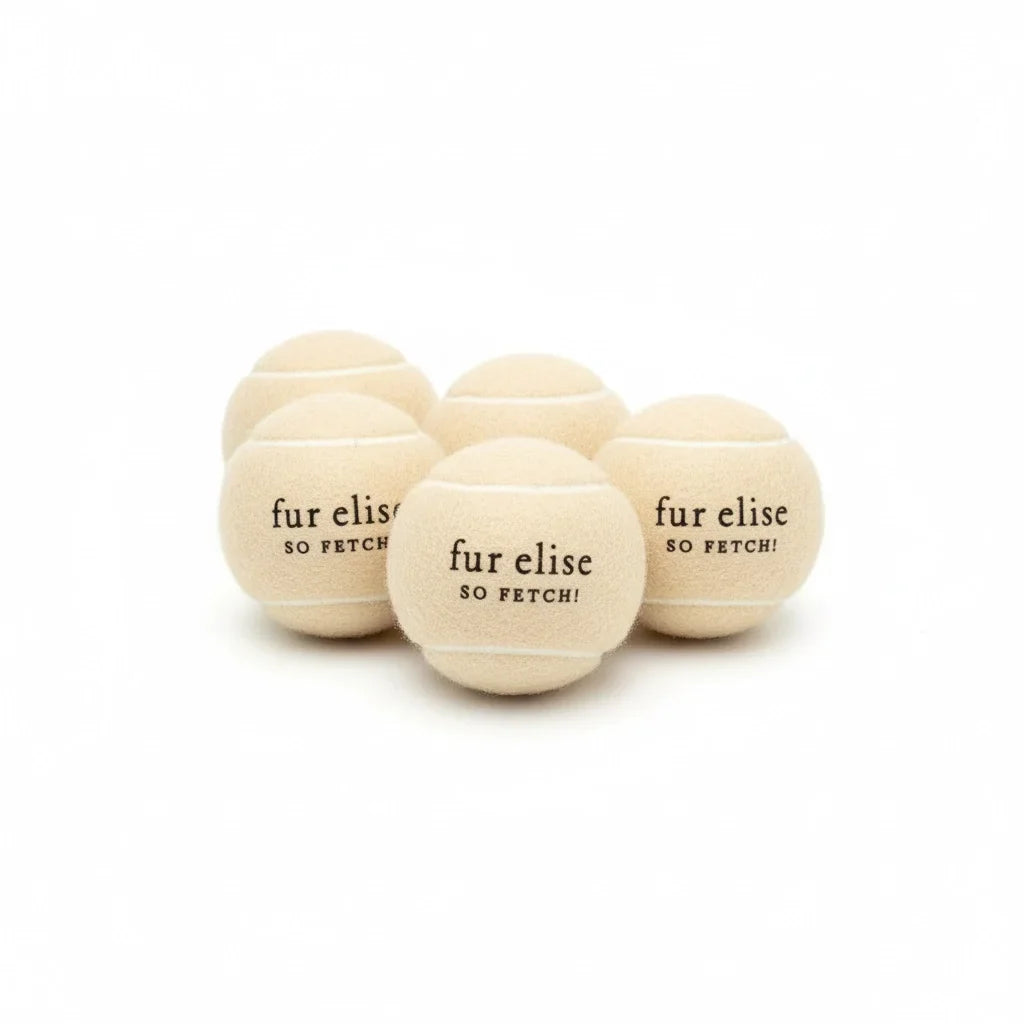 Latte beige tennis ball 5-pack, with 'fur elise so fetch!' print on each ball