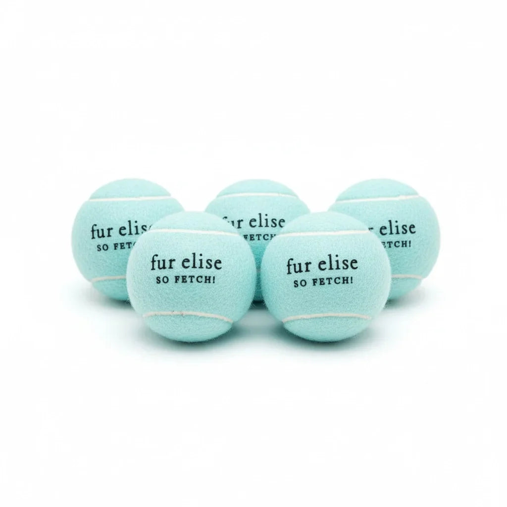 Pack of 5 light blue tennis balls with "fur elise so FETCH!" print