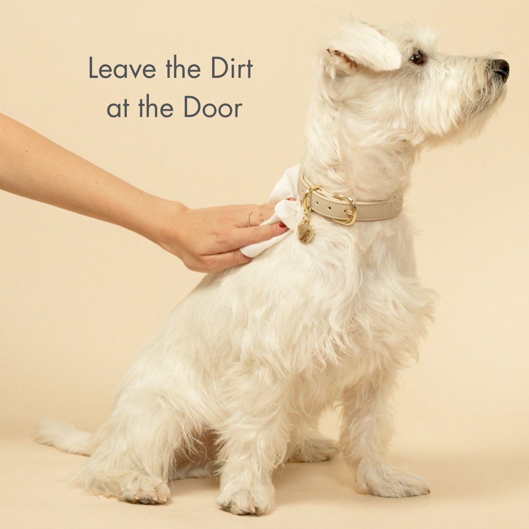 {{product_title}} - Cookies Wagging Friends Boutique