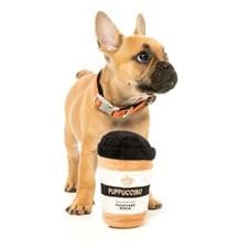 Plush puppuccino dog toy held by a tan French bulldog, black lid and striped body