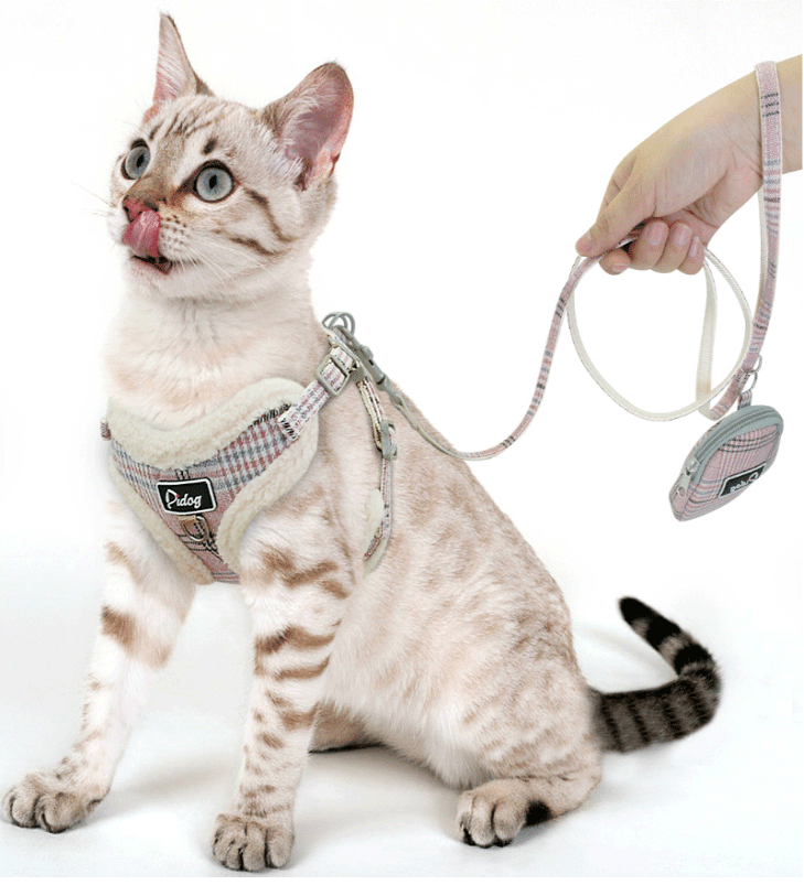 Plaid dog leash set with harness on a cat, plus matching zip pouch and leash strap