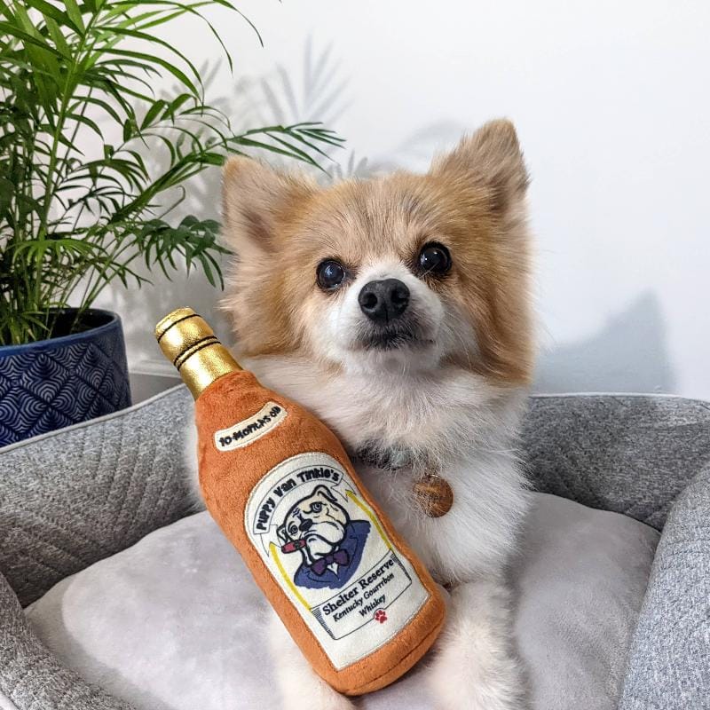 Orange plush bottle dog toy with gold cap, held by a small dog