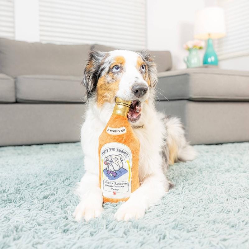 Orange plush bottle dog toy with gold cap and illustrated label, dog lying with it