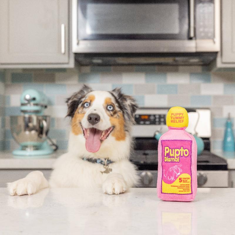 Pink and purple plush dog medicine-bottle toy with yellow cap, standing beside a dog