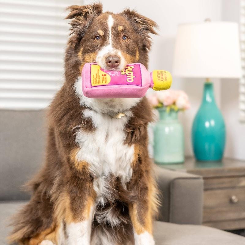 Pink and purple plush dog medicine-bottle toy with yellow cap, held in a dog’s mouth