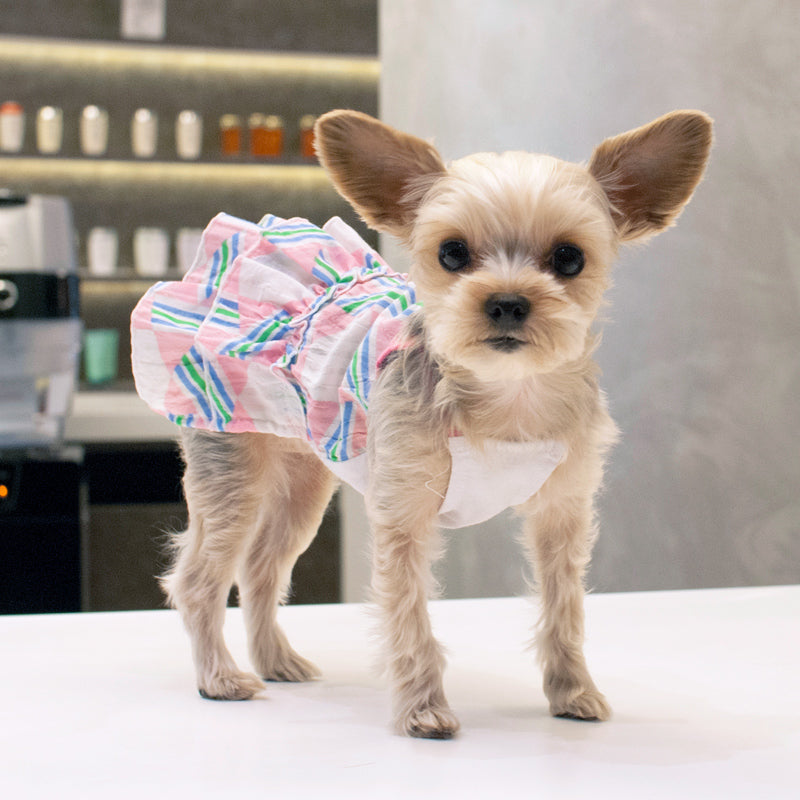 {{product_title}} - Cookies Wagging Friends Boutique