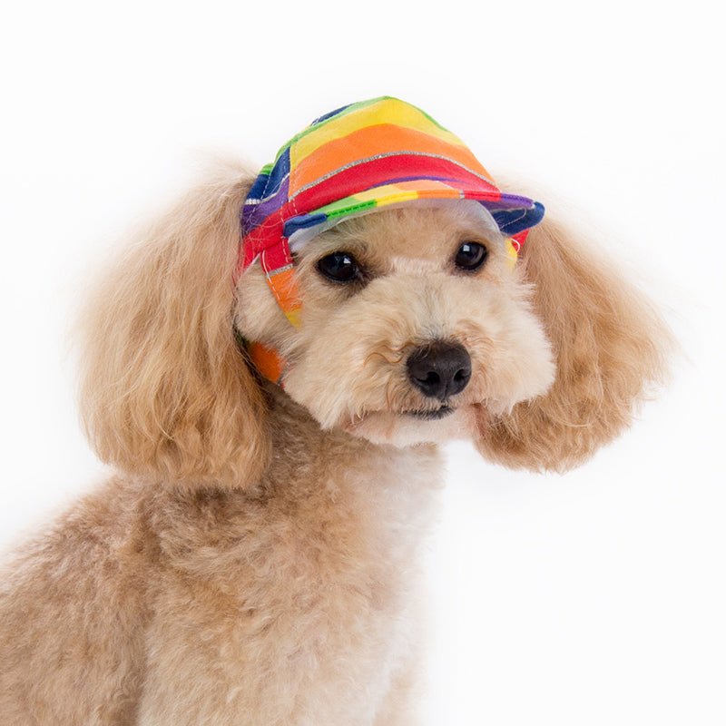 Rainbow ear-flap cap with adjustable strap and curved brim