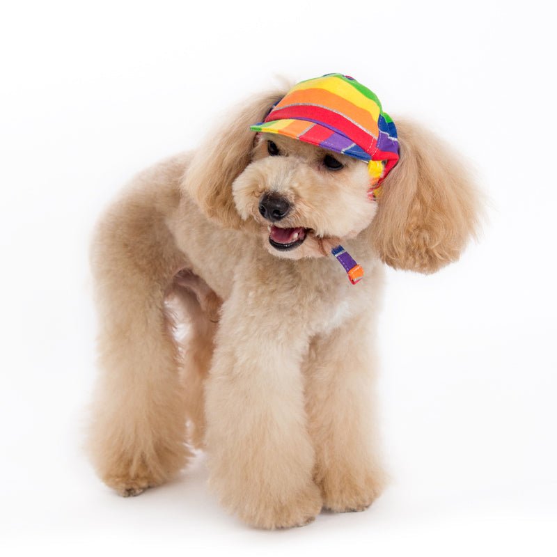 Rainbow ear-flap fabric hat with adjustable chin strap and curved brim