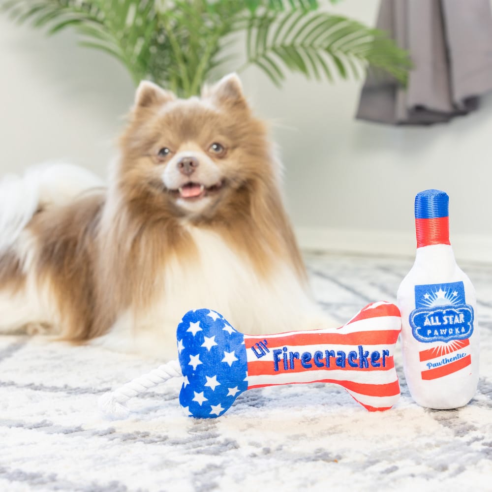 Patriotic dog toy 2-pack: plush bottle and blue star firecracker bone, with dog