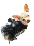 {{product_title}} - Cookies Wagging Friends Boutique
