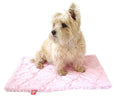 {{product_title}} - Cookies Wagging Friends Boutique