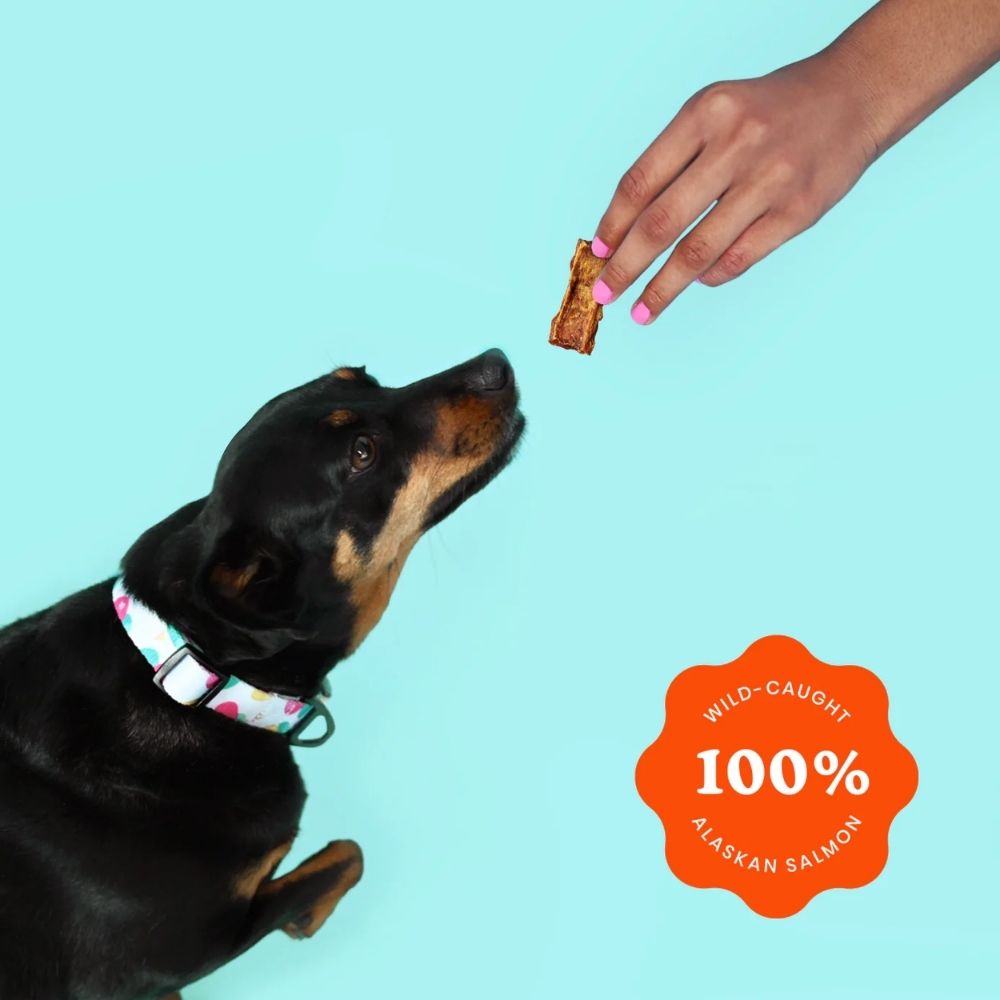{{product_title}} - Cookies Wagging Friends Boutique