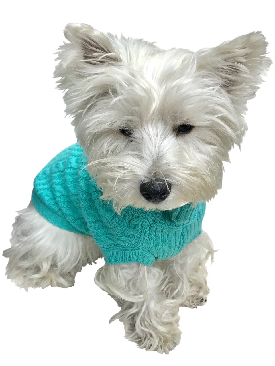 Scottish Cableknit Sweater, Light Turquoise Fursace Luxury Dog Plush Toy - S Red Squeaky | Cookies Wagging Friends Boutique Cookies Wagging Friends Boutique