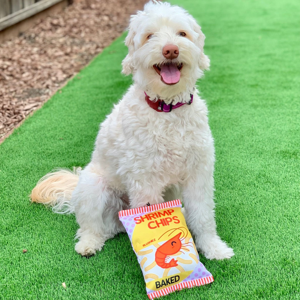 White dog holding a yellow plush shrimp chip bag toy on green grass